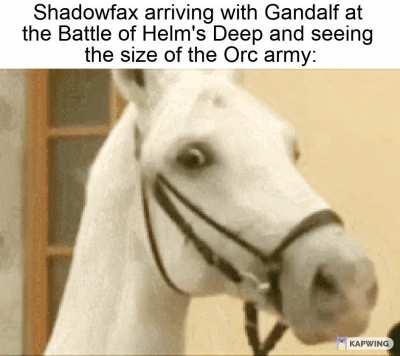 We're not charging into that... right?