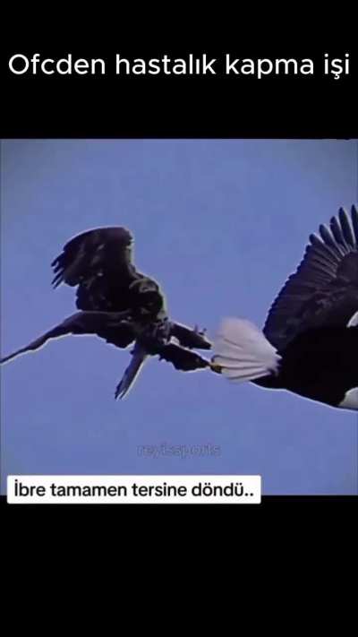 Her öldüğümde anırıyorum.