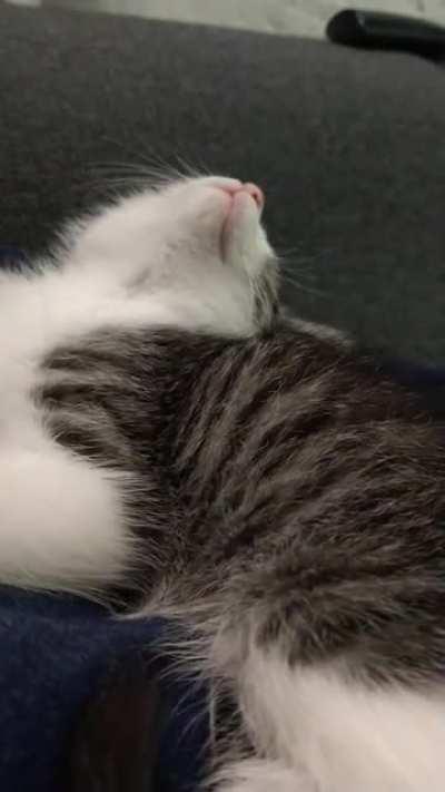 The past hour has been basically this. Left arm unusable too. Not complaining.