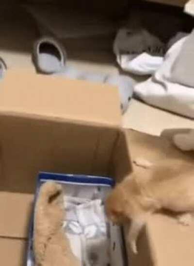 I don't blame myself to be a bad parent anymore 🤣!