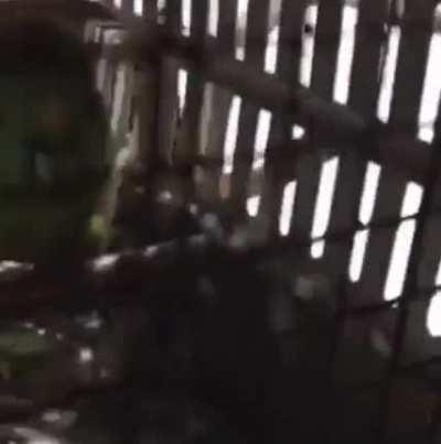 Call the police. Wait-