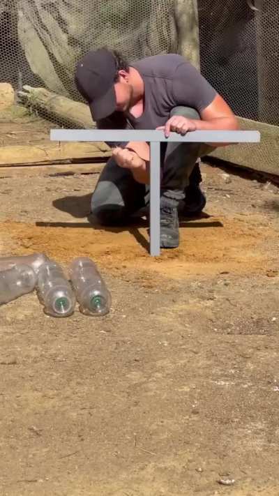 Brilliant use of Plastic Bottles