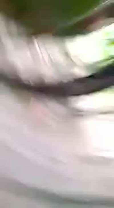 let's pop this wasp nest like an egg