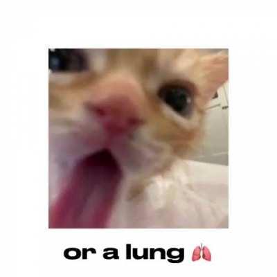 Loser city money scheme