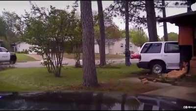 not sure if this has been posted here before