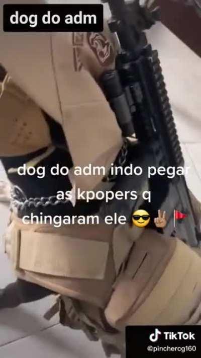 Adm protegido 👌😎😉💣🔫🔫🔫🔫⚠🚔