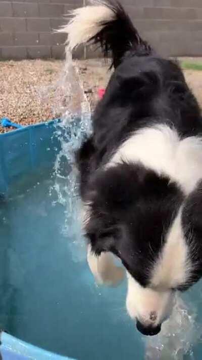 Y’all liked the gif so much, so here’s the full video!