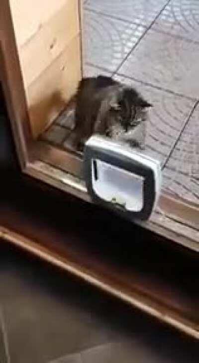 Pretty abrupt, pretty chaotic