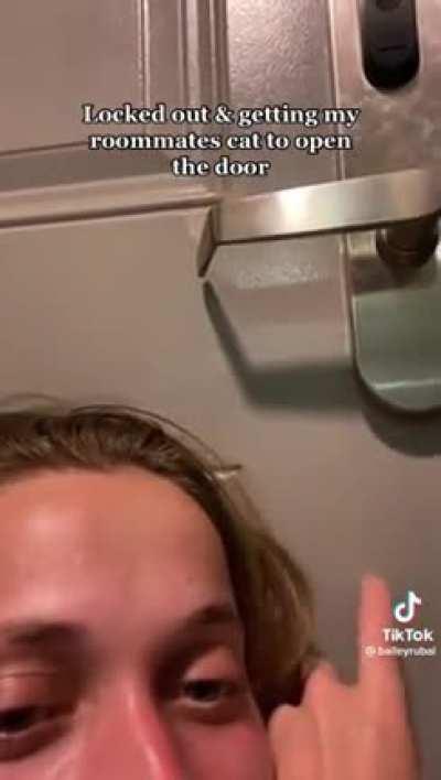 How to get the cat to open the door