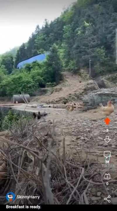 Not sure why I didn't expect that