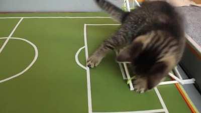 My boyfriend spent hours making a soccer pitch which lasted all of five minutes...