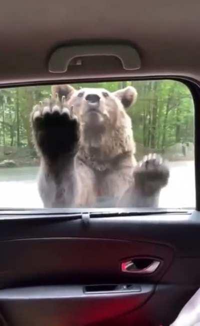 Bare with me, it's only a 8 second video.