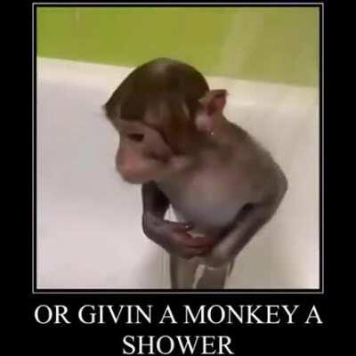 givin a monke a shower