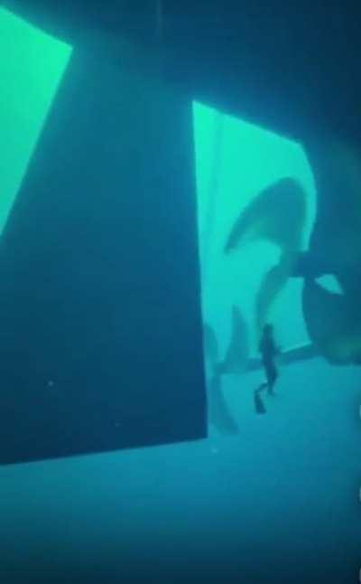 Imagine hearing the groan of the propellers begin to turn