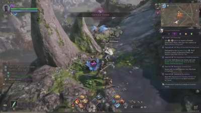 Omg you can surf the 🐳 