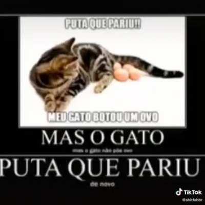 p*** que pariu! (veio do tico teko, infelizmente.. só que é shitpost então não conta kkj)