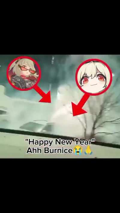 New year Burnice