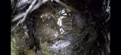 Be Careful What You Wish For