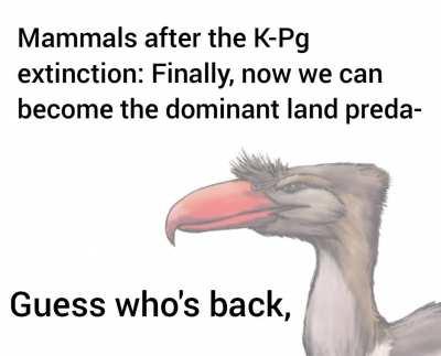 We do a little trolling.