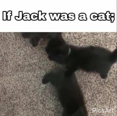 Accurate representation of Jack in n his cat form.