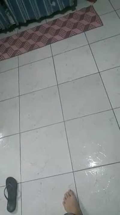 O que eu tô fazendo da minha vida?