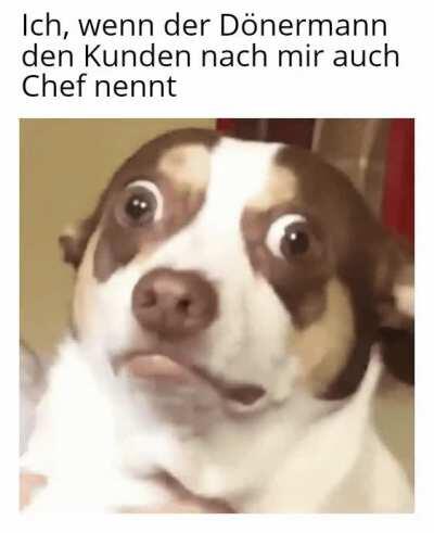 ich_iel