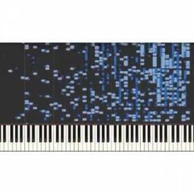 Audio illusion where you hear lyrics when there are none. (It might take a few seconds before you start hearing it)