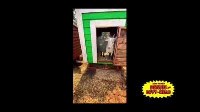 This caught me off guard ngl