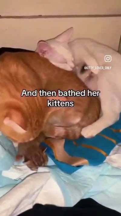 Momma to another litter