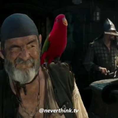 Las Palomas de puente alto