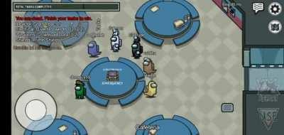 Hackers on Among Us (White and Black, they literally kicked players just with 2 votes and nobody eles was able to vote)