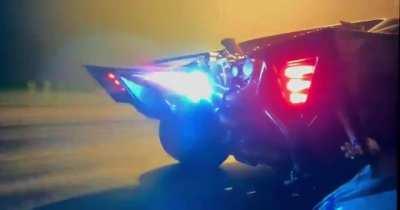 Bro... This is Cinema