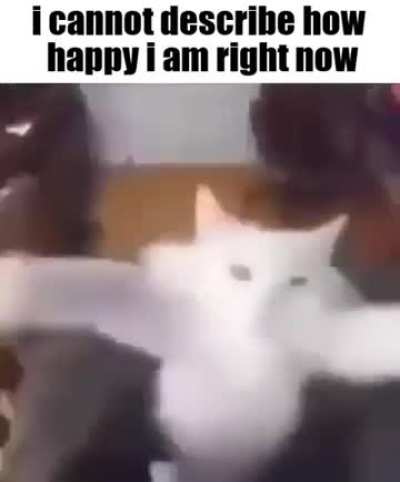 My mom finally got arrested for abusing me. Im finally safe.