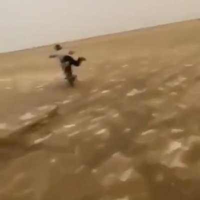 Quite the balancing act