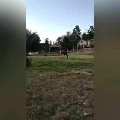 Spooked boy just froze