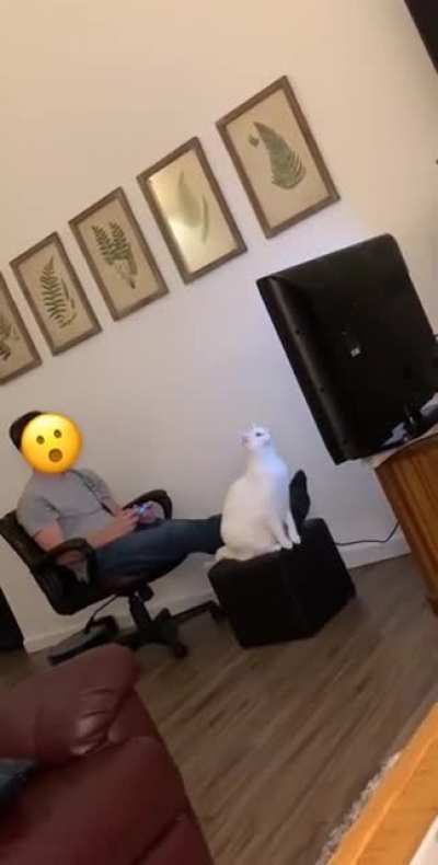 An uncomfortably close call