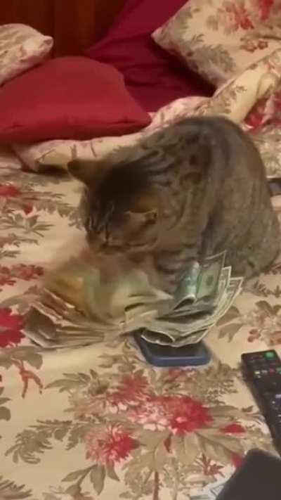 This is from being an extra on this sub