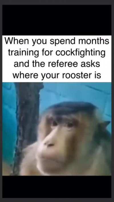 Maybe I pulled the wrong cock