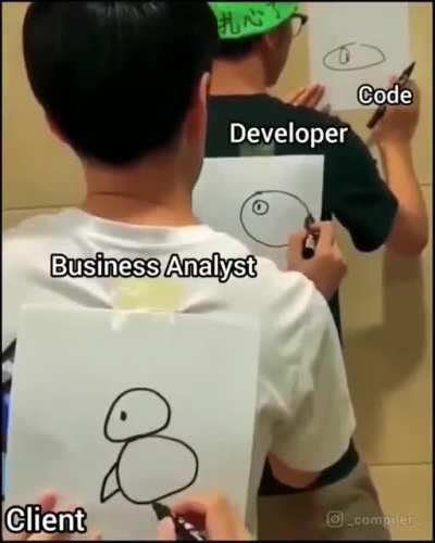 Expectations VS Reality of Client + Business Analyst + Developer = Coding