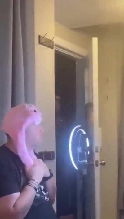 Non-News post to lighten the mood