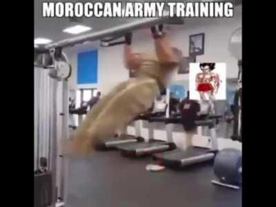 Strongest man in Tunis