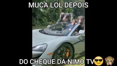 Muquinha playboyzin da barra