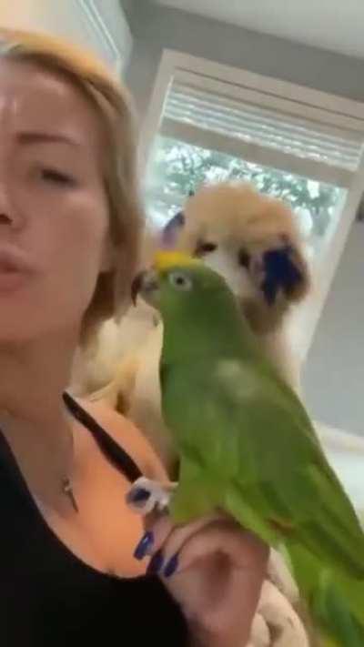 When dog get jealous