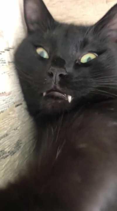 Good morning to you :)