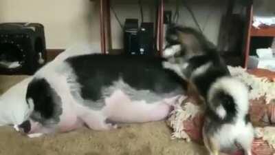 Wake up wake up wake up.