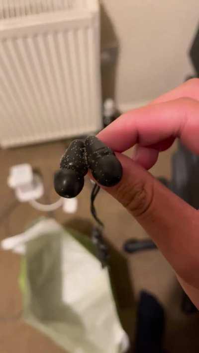 what are these tiny bugs that have raided my room…?