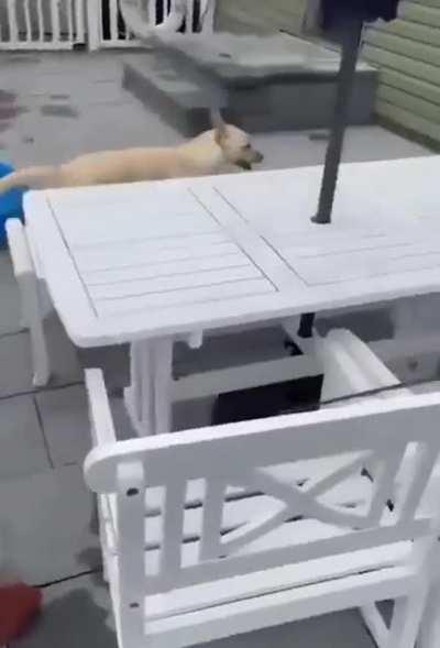 Do you want to go for a run?