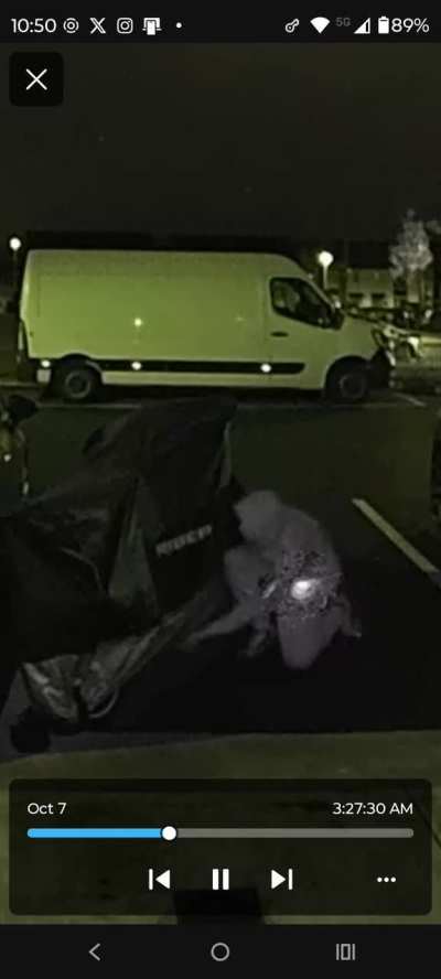 Motorbikes and cars theft attempt.