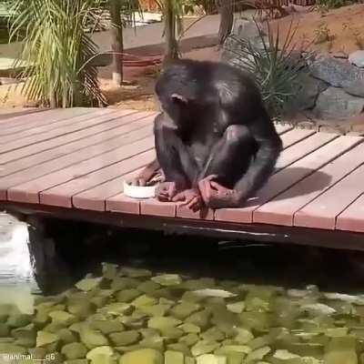 Monke :) why do I need 10 characters