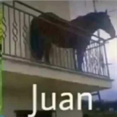 Juan?